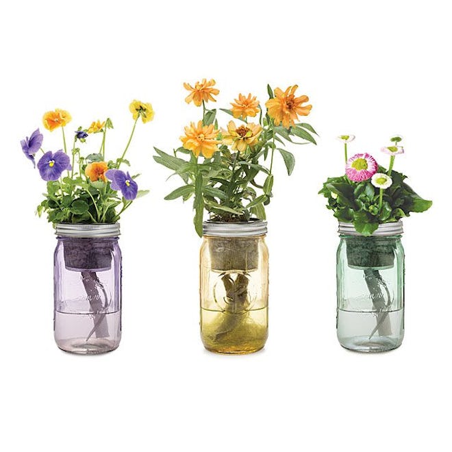Mason Jar Indoor Flower Garden