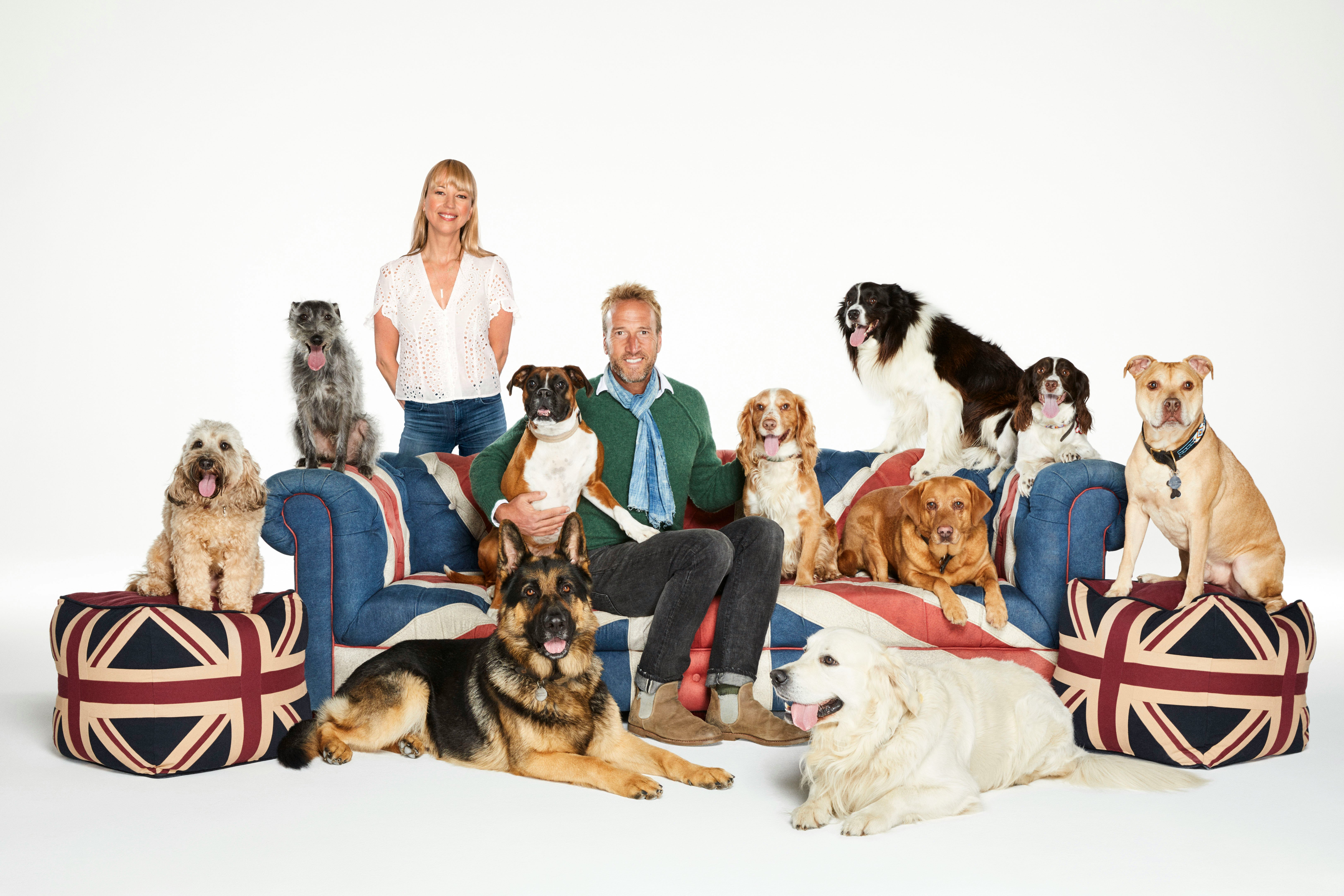 To Vote For Britain's Top 100 Dogs Live 