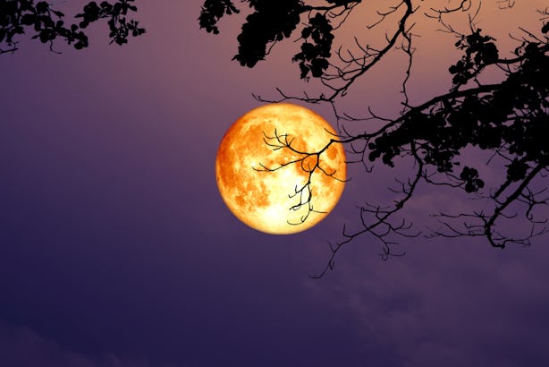 8 Meditations For The January 2019 Super Blood Moon To Help You Feel ...