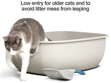 The 4 Best Litter Boxes For Older Cats best cat litter box for older cats