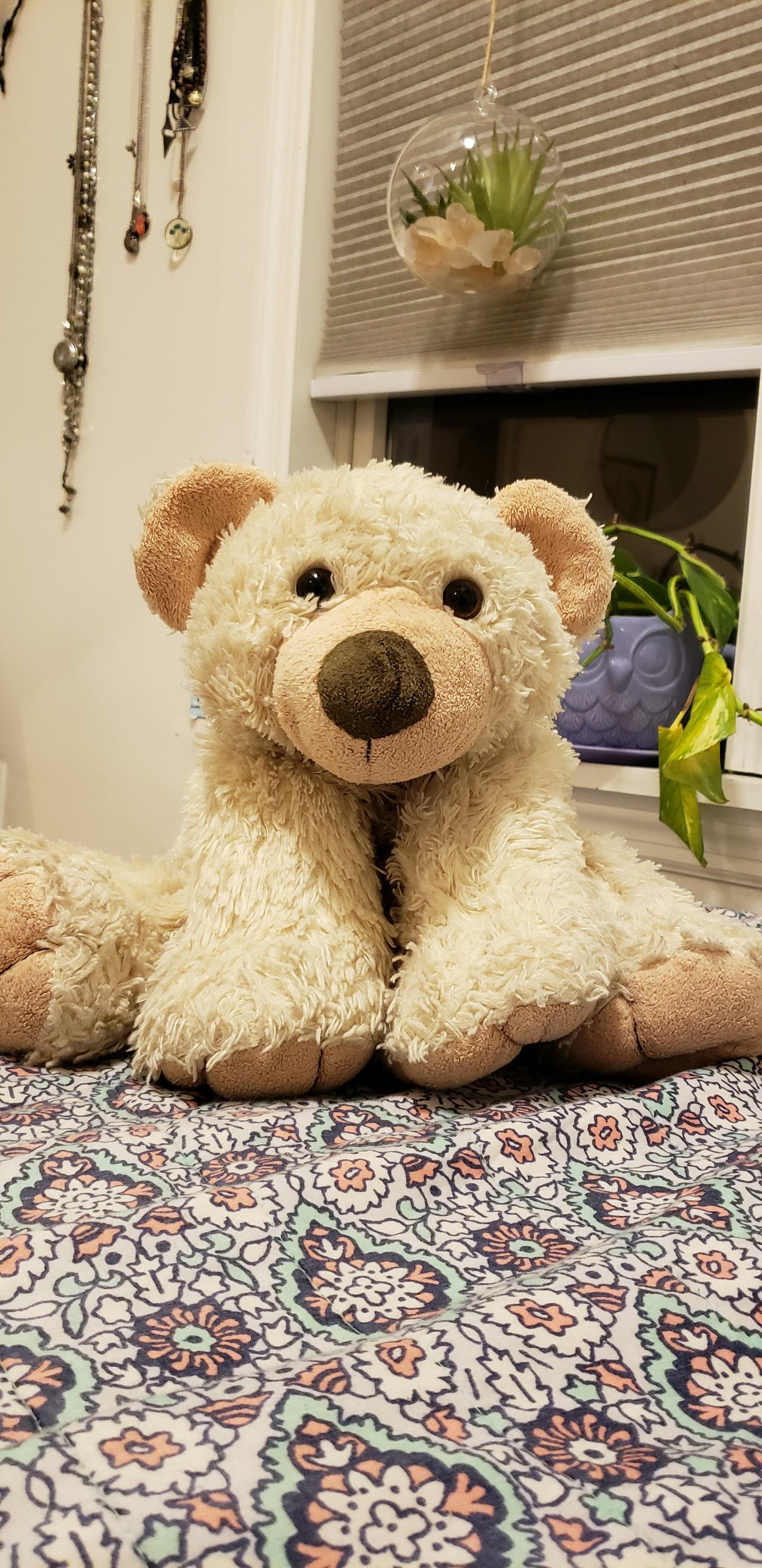 I’m An Adult With A Teddy Bear — And I Can’t Have Sex In Front Of Him