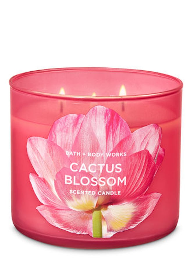 Cactus Blossom 3-Wick Candle