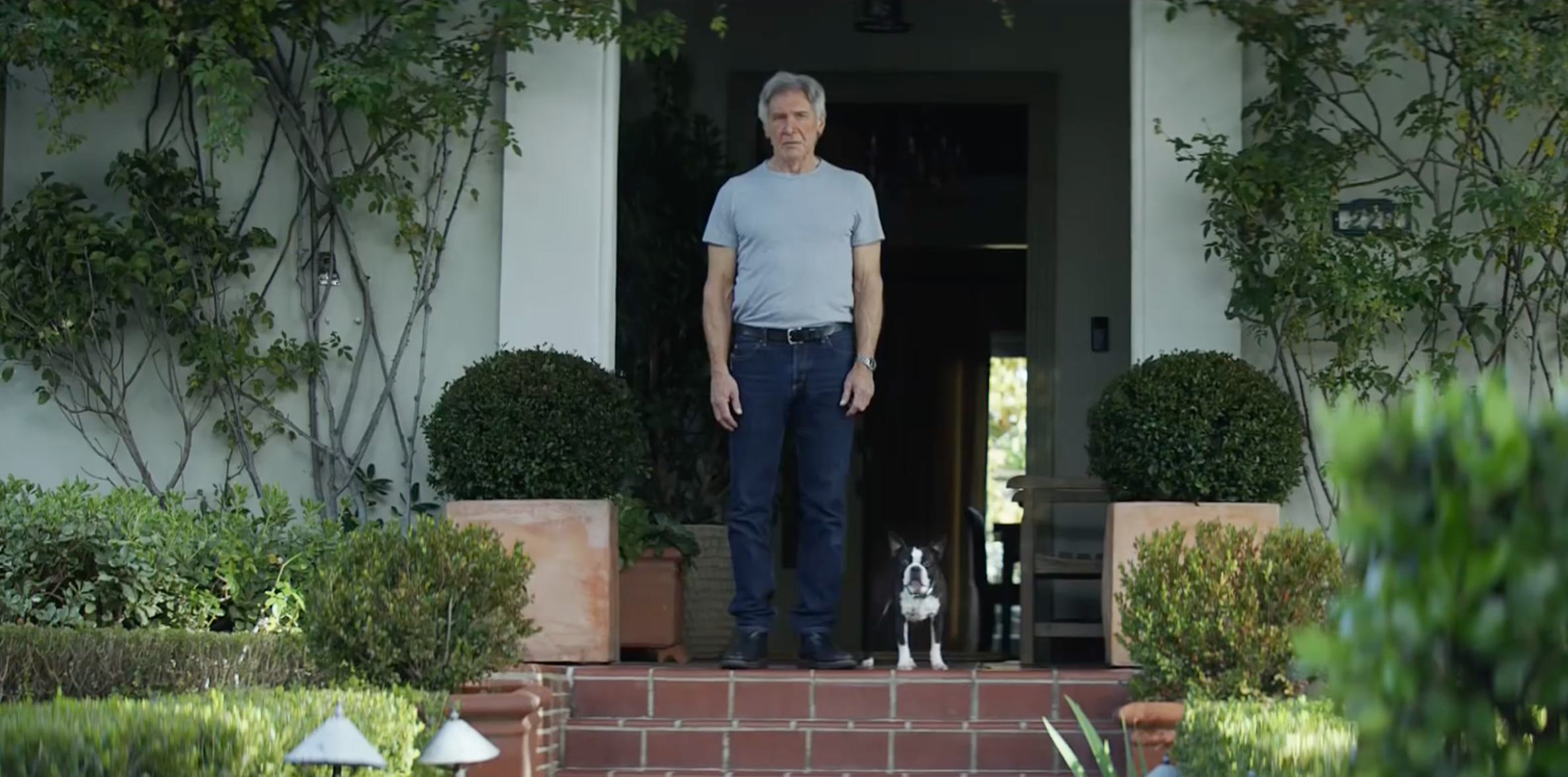 Alexa dog collar Clearance