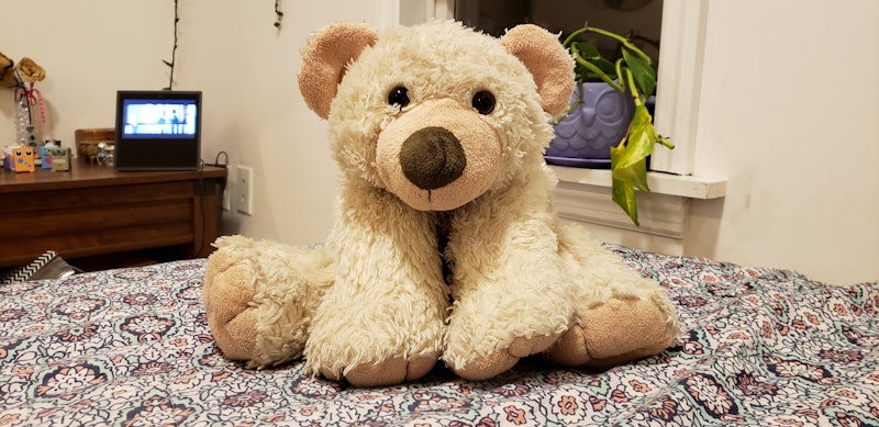 I’m An Adult With A Teddy Bear — And I Can’t Have Sex In Front Of Him