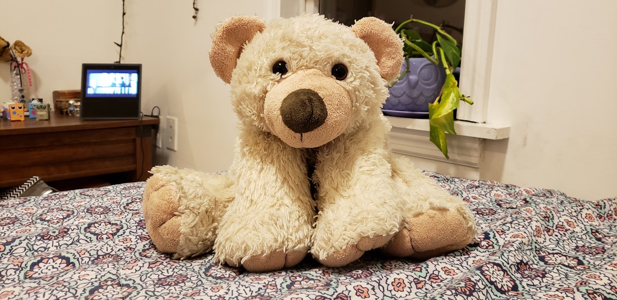 Im An Adult With A Teddy Bear — And I Cant Have Sex In Front Of Him 