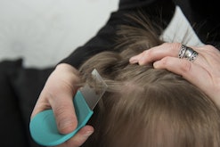 A closeup of a child's hair being inspected for lice with a comb 