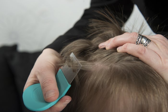 A closeup of a child's hair being inspected for lice with a comb