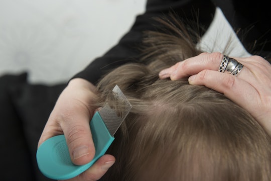A closeup of a child's hair being inspected for lice with a comb 