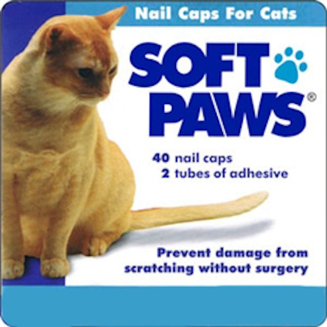 Cat Nail Caps