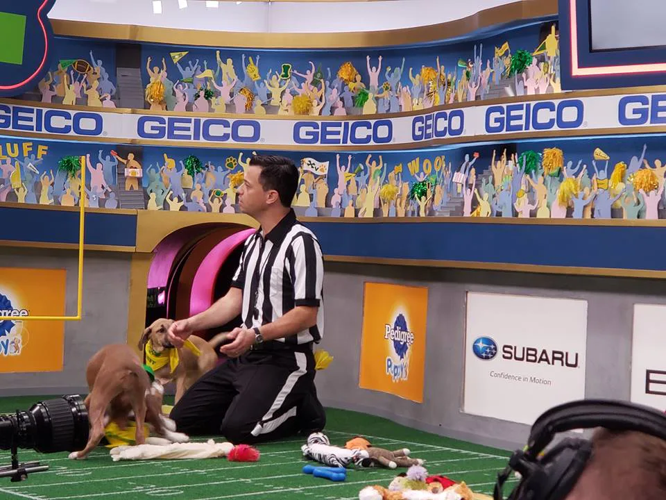 Puppy Bowl Referee Dan Schachner Has The Doggo-Lovin' Job Of Your Dreams