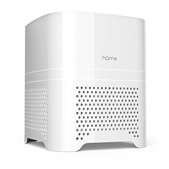 hOmeLabs 3 in 1 Ionic Air Purifier with HEPA Filter