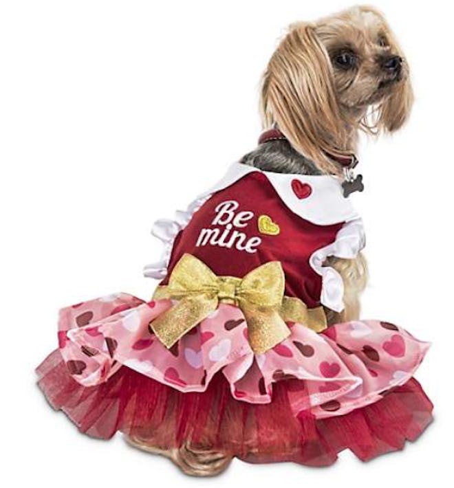 Love My Pup Be Mine Valentine's Day Dog Dress