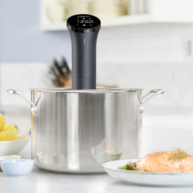 Anova Culinary Sous Vide Precision Cooker