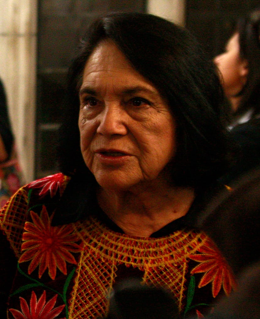 Latinx activist Dolores Huerta, one of many famous mexican activists, was key in the labor rights mo...