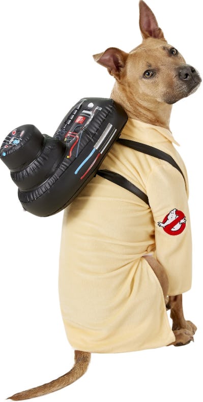 12 Halloween 2019 Costumes For Dogs Babies That Just Couldn T Be