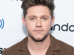 Niall Horan's Selfie With A Selena Gomez Poster Is Fueling Dating Rumors