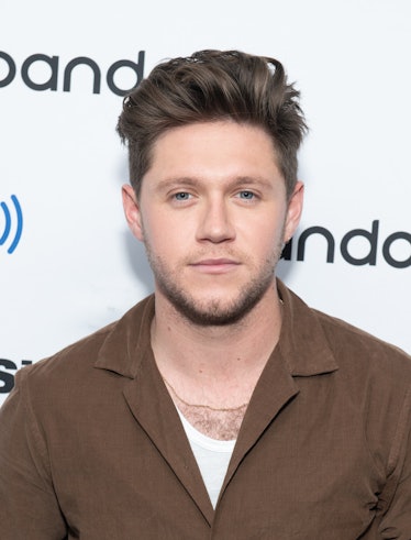 Niall Horan's Selfie With A Selena Gomez Poster Is Fueling Dating Rumors