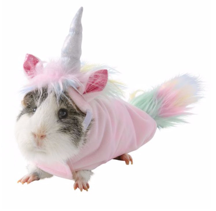 Thrills & Chills™ Unicorn Small Pet Costume