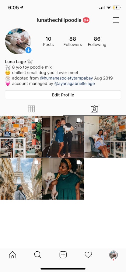 Your own profile even shows which Instagram photos you were tagged in, and you have the option of hi...