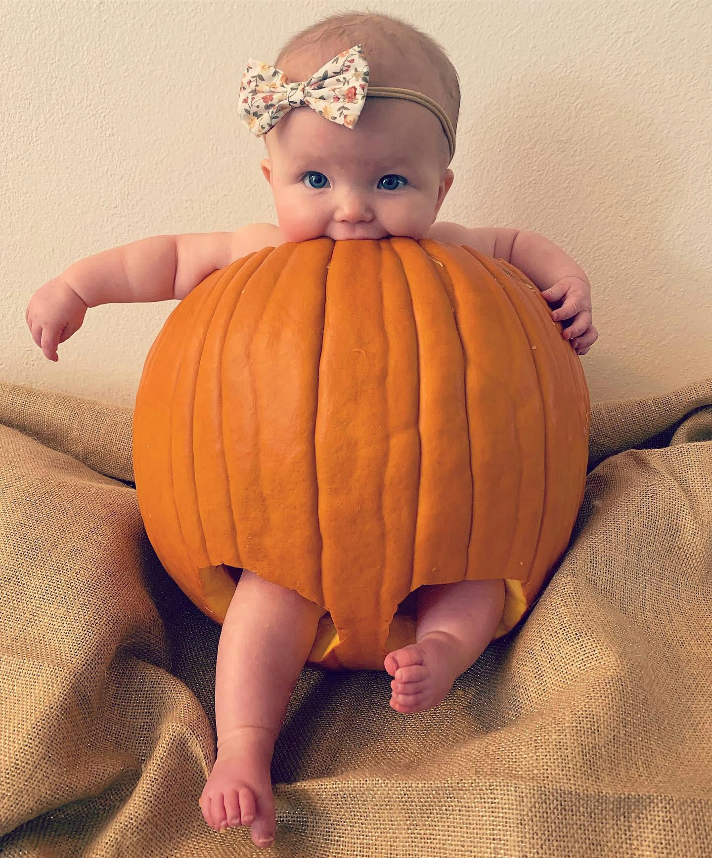 cute dressed babies