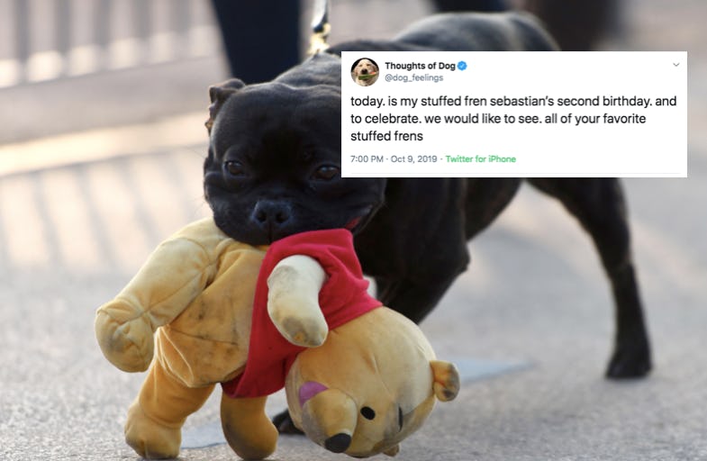 Why Does My Dog Carry Around A Stuffed Animal