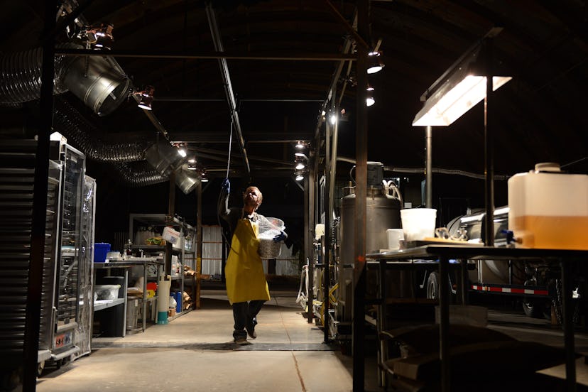 Aaron Paul as Jesse Pinkman cooking meth in the Breaking Bad series finale