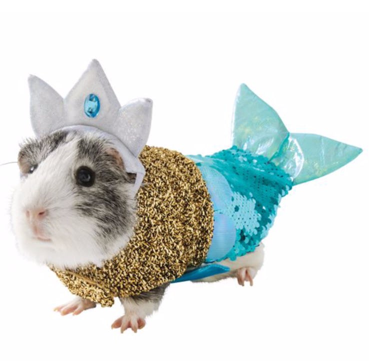 Thrills & Chills™ Mermaid Small Pet Costume