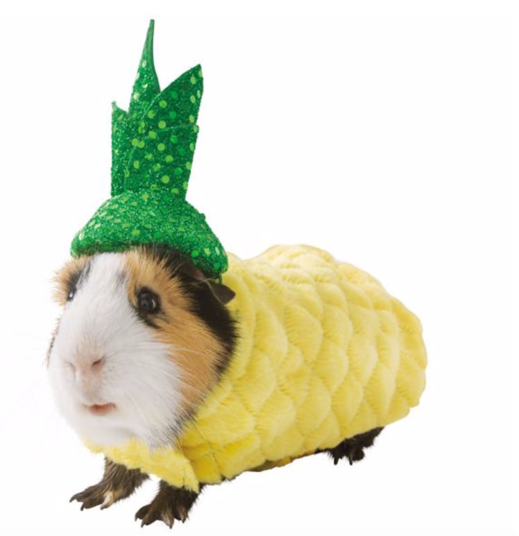 Thrills & Chills™ Pineapple Small Pet Costume