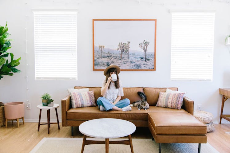 A stylish girl is sitting on a couch with a cat in a chic home like the ones on Airbnb.