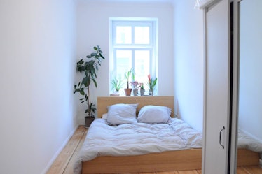 A well-lit private room in an apartment in Berlin on Airbnb lets you chill with cats and explore the...