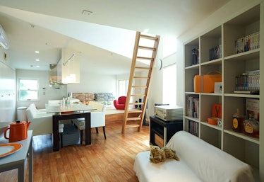 A modern apartment with cats is the perfect place to rent on Airbnb for a trip to Tokyo.