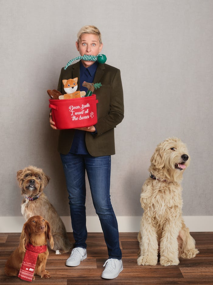 Ellen DeGeneres designed Christmas outfits for dog for Kohl's.