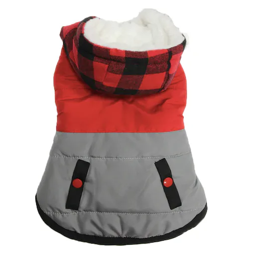 Ellen degeneres christmas pictures