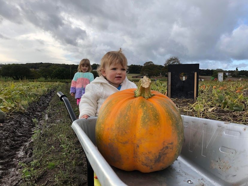 A little girl pushing a cart with a pumpkin that is almost bigger than her