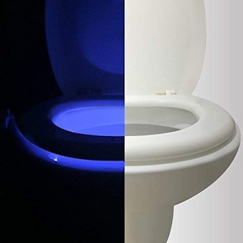 Vintar 16-Color Motion Sensor LED Toilet Night Light