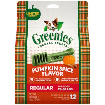 Pumpkin Spice Flavor Dental Dog Treats