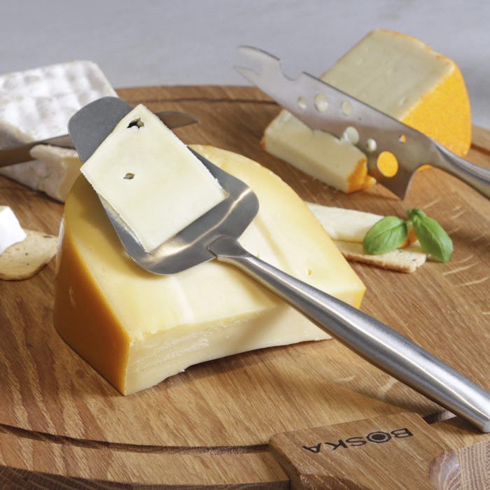 Boska Stainless Steel Cheese Slicer 