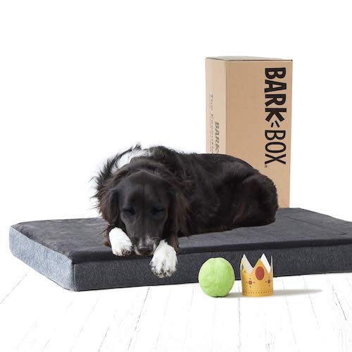 BarkBox Memory Foam Dog Bed