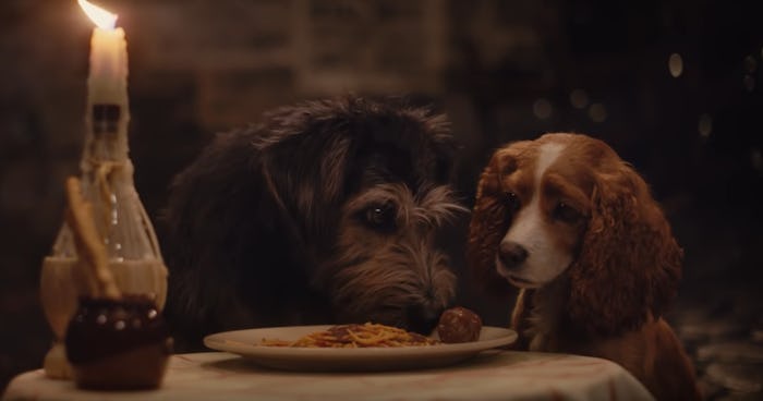 The dogs in Disney's live action reboot of 'Lady and the Tramp' share a plate of spaghetti.