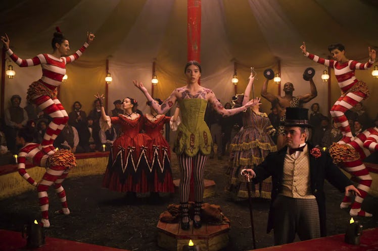 Hailee Steinfeld in Dickinson