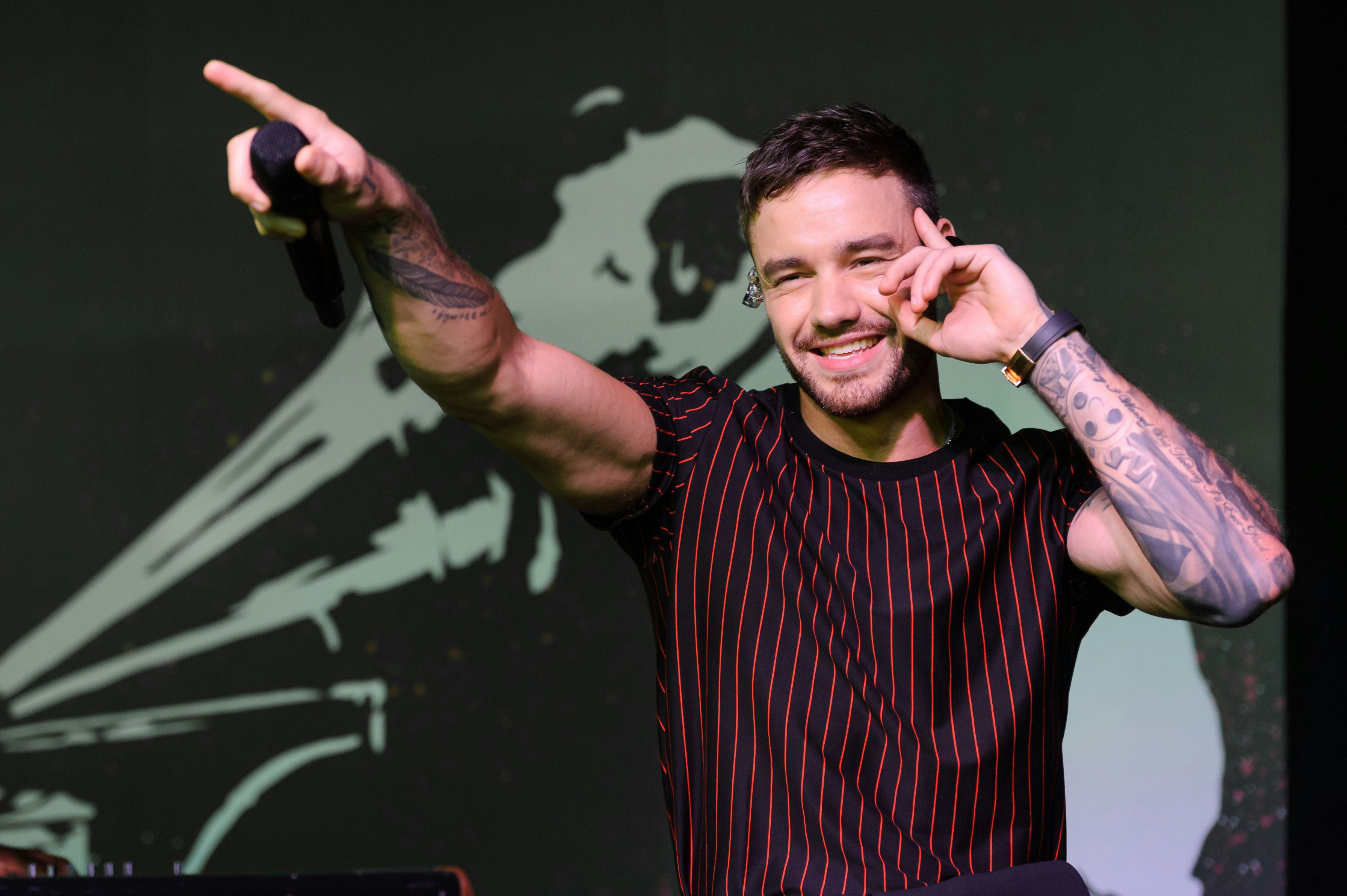 Liam Payne's Debut Album Is Finally Here & There's A Surprising Festive ...