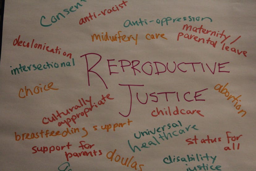 Reproductive justice - breastfeeding support, universal health care, disability justice, and increas...