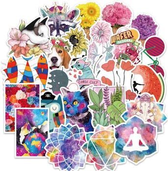 Hopasa Vinyl Stickers (100-Pack)