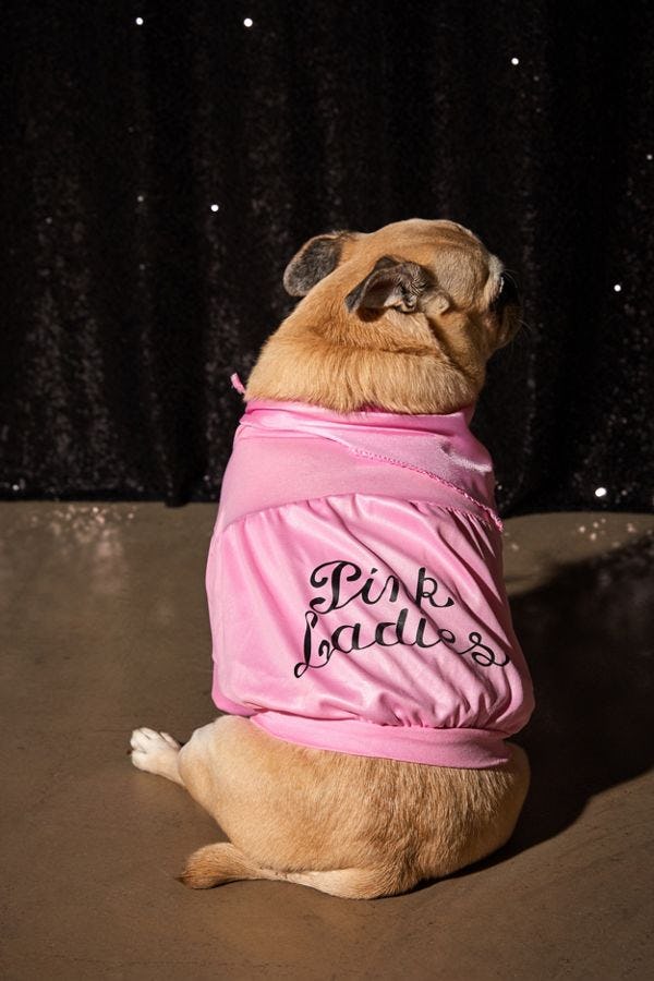 pink ladies dog jacket