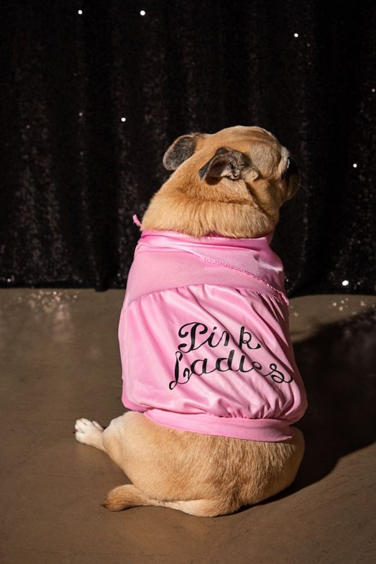 Pink Ladies Jacket Dog Halloween Costume