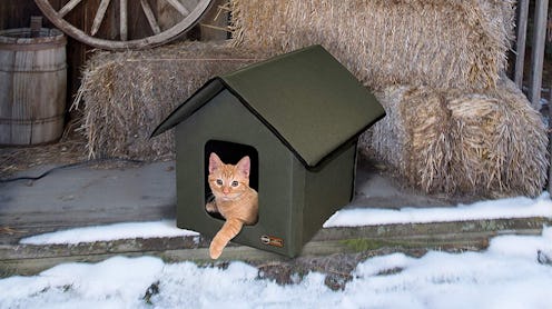 This heated house for cats is perfect for winter.