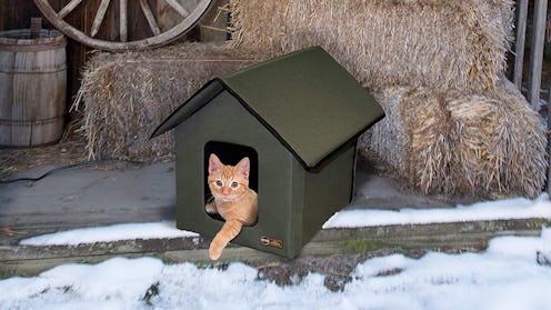 This heated house for cats is perfect for winter. 