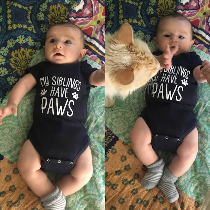 baby in onesie with a cat photobombing the photo