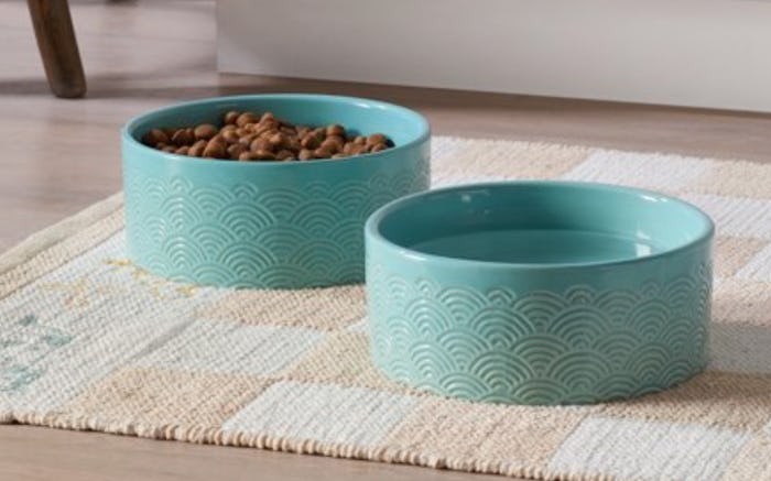 Aqua Etched Vintage Sun 8in. Pet Bowl Set by Drew Barrymore Flower Home