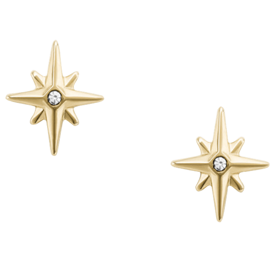 North Star Gold-Tone Stainless Steel Earrings